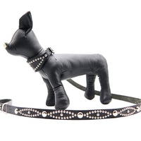 LUXURY DOG LEASH / STUDS / ブラック