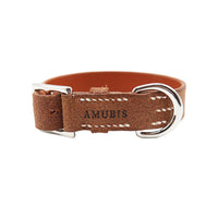 DOG COLLAR BABEL SPLIT SMALL / オレンジ