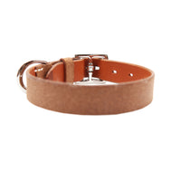 DOG COLLAR BABEL SPLIT SMALL / オレンジ