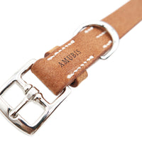 DOG COLLAR BABEL SPLIT MEDIUM / オレンジ
