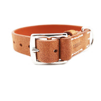 DOG COLLAR BABEL SPLIT MEDIUM / オレンジ