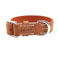 DOG COLLAR BABEL SPLIT MEDIUM / オレンジ