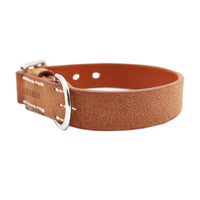DOG COLLAR BABEL SPLIT MEDIUM / オレンジ