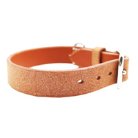 DOG COLLAR BABEL SPLIT MEDIUM / オレンジ
