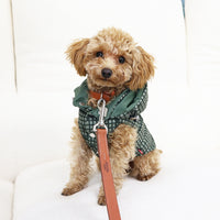 Reversible DOG Jacket | AMUBIS Desert Night Camo