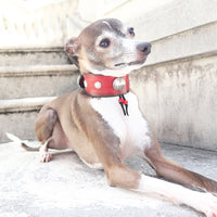 LUXURY GRAYHOUD DOG COLLAR SMALL / KOKOPELLI CONCHO / レッド