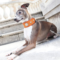 LUXURY GRAYHOUD DOG COLLAR SMALL / KOKOPELLI CONCHO Ⅱ/ サドル