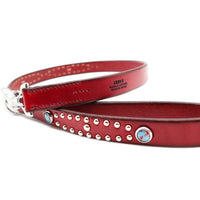 SPECIAL ORDER / LUXURY DOG LEASH / レッド