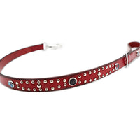 SPECIAL ORDER / LUXURY DOG LEASH / レッド