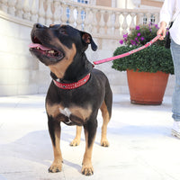 SPECIAL ORDER / LUXURY DOG COLLAR X-LARGE / レッド